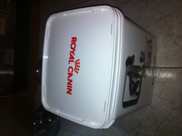 photo-1