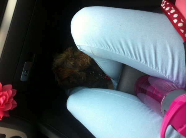 photo-2