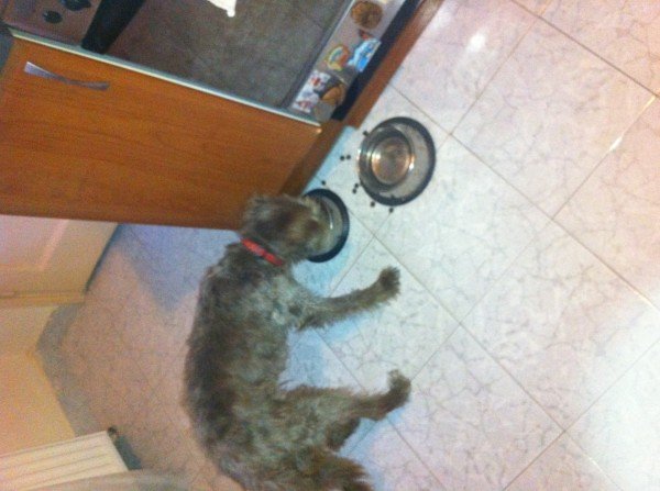 photo-3